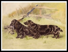 FIELD SPANIEL TWO DOGS LOVELY VINTAGE STYLE DOG ART PRINT POSTER