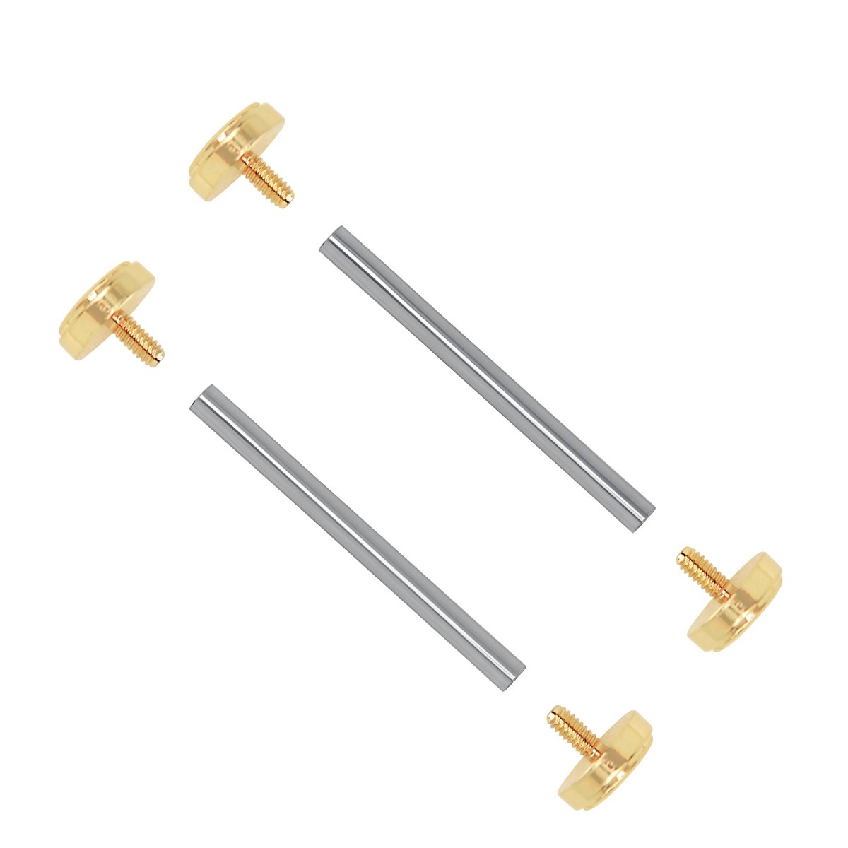 Versace V-Race VC 23C80D Gold Watch Screw Tube Band Strap Link Kit-image