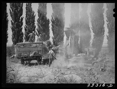 Photo:Box Elder County Utah 1940 FSA Cooperative Hay Chopper in Action
