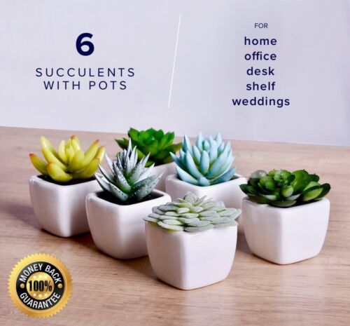 Faux Succulents Set of 6 In Pots Artificial Green Plants Home Decor Office Desk
