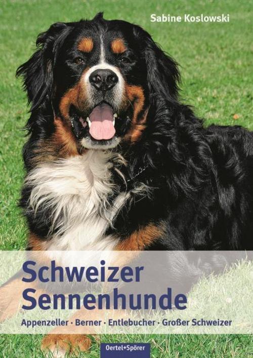 Thumbnail - Schweizer Sennenhunde Sabine Koslowski