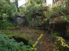 Photo 6x4 Rosshall Gardens: the rock garden Crookston/NS5263 See [[39479 c2015