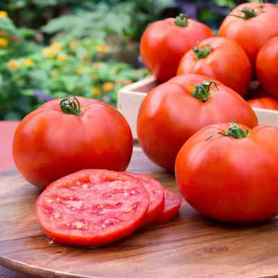 #ad Better Boy Tomato Seeds Hybrid Non GMO Vegetable Garden $9.99