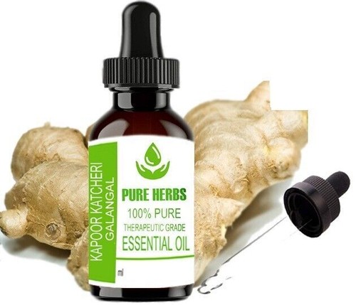 Pure herbs Kapoor Katcheri 100 % Pure & Natural Galangal Essential Oil - 第 1/32 張圖片