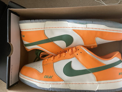 Nike Dunk Famu Jordan
