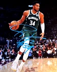 Giannis Antetokounmpo Signed 8x10" NBA: BUCKS Original Authentic Autograph w/COA