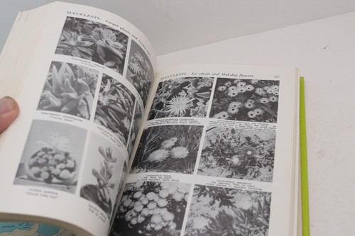 Exotic Plant Manual Graf 4200 Illustrations Pictures How To Identify Grow Book - Picture 3 of 9