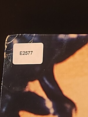 Damian Dame – Gotta Learn My Rhythm - Promo 12