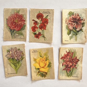 Wills Popular Flowers Tobacco Felts Set of 6 Dahlia Sweet Pea Petunia