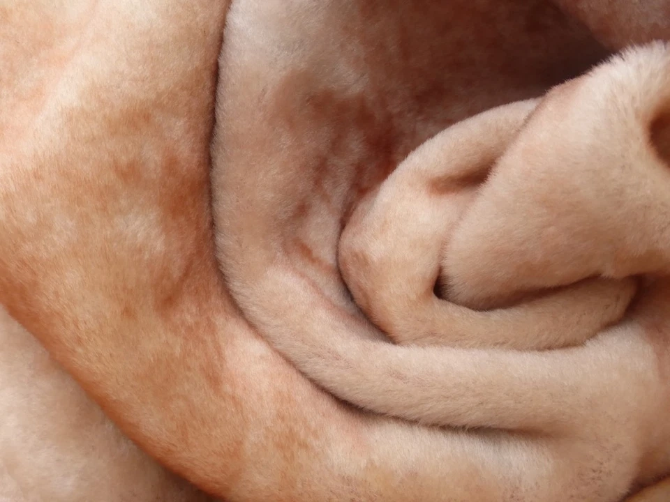 мериносовая овчина стриженая кожа тонкая шкура пестрая светло-оранжевая супер шелковистая - Изображение 4 из 4