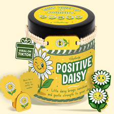 Positive Daisy Gifts for Women - Emotional Support Flowers for Teachers Apprecia