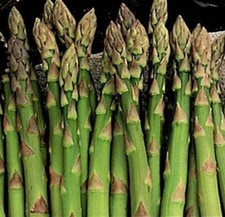 SCARBOROUGH SEEDS Asparagus Mary Washington 100 Seeds Non GMO Fresh Garden Seeds