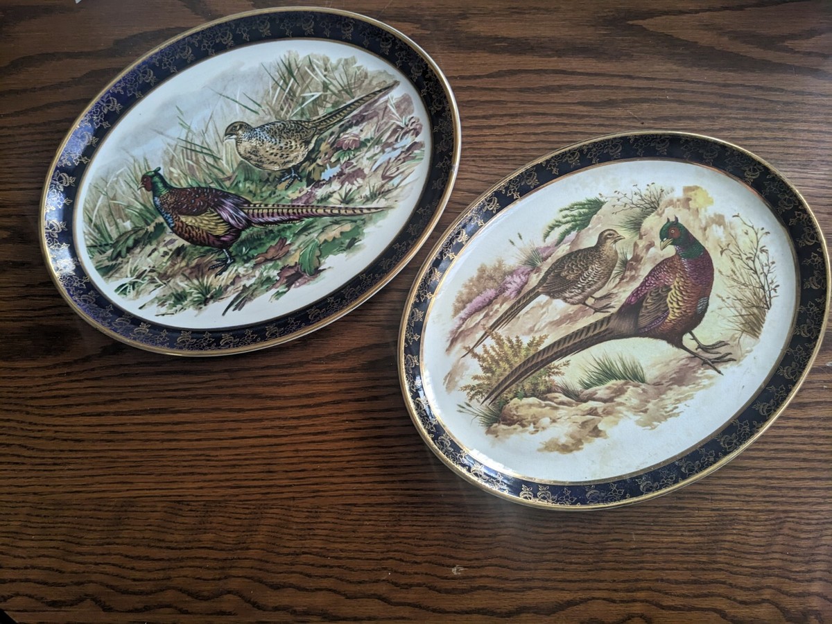 2 Vintage Weatherby Hanley England Royal Falcon Ware Oval Plate