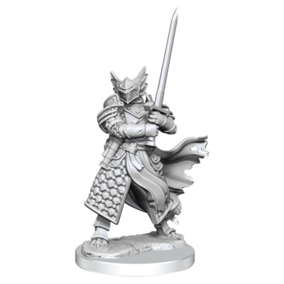 Dungeons & Dragons Frameworks Male Dragonborn Paladin Miniature Wizkids 75022