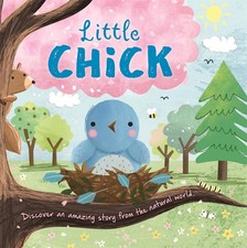 Little Chick (An illustrated story about the life-cycle of a chick)