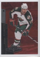 2010-11 Upper Deck Black Diamond Ruby 33/100 Andrew Brunette #30 0c2