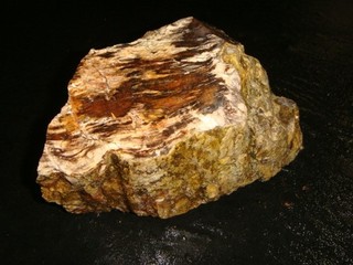 OLD SWARTZ CANYON PETRIFIED OAK WOOD ROUGH SPECIMEN 5 POUNDS OREGON