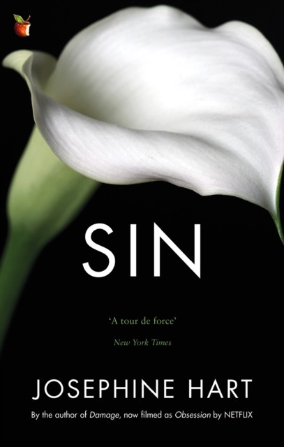 Sin: By the author of DAMAGE, inspiration for the Netflix series OBSESSION (Virago Modern Classics) - Image 5