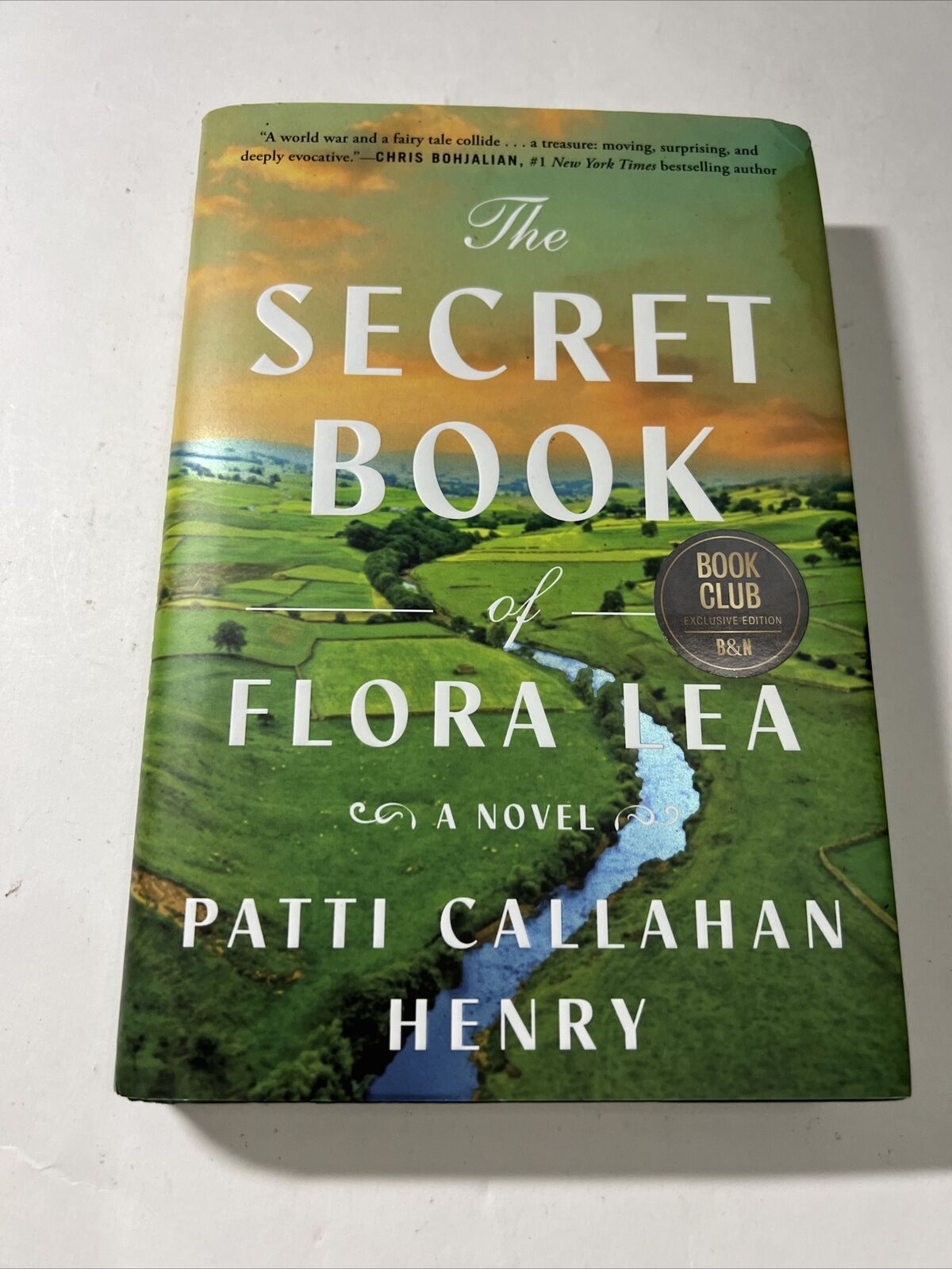 The Secret Book of Flora Lea, Book by Patti Callahan Henry, Official  Publisher Page