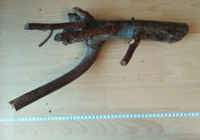 Großes Stück  von einem Ast für Terrarium Bio aus eigenem Garten Holz