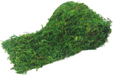 Moss Roll Moss Table Runner Dried Moss Mat for Crafts 6" X 51" Green Moss Roll f
