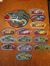 Boy Scout 2013 National Jamboree Occoneechee Council set of 13 JSP's and center
