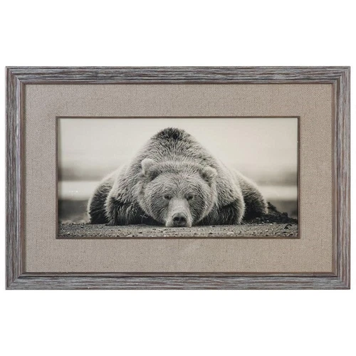 Uttermost Deep Sleep Traditional Wood and Glass Bear Print in Brown/White - Picture 1 of 5