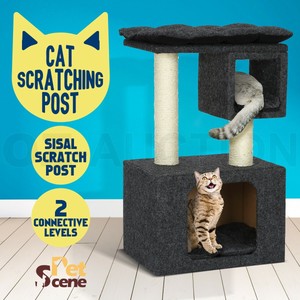 cat tunnel scratcher