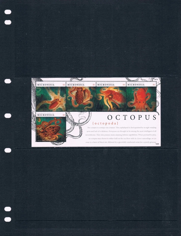 $10.00 Scott Value - 2012 MICRONESIA Octopus s/s Octopi So Pacific CV MNH NH UMM - Image 2 of 4