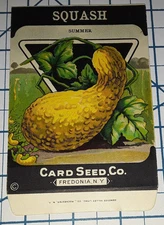 1920s SQUASH Summer Vegetable Seed Packet - NOS Fredonia NY Vintage Brand Co