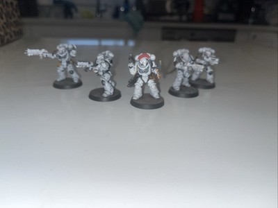 Warhammer 40k Luna Wolves Primaris Space Marines Professionally Painted