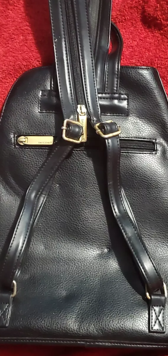 David Jones BackPack Black Color