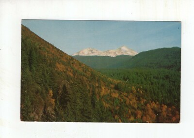 Vintage Post Card - The McKenzie River Highway - Three Sisters Mountains - OR