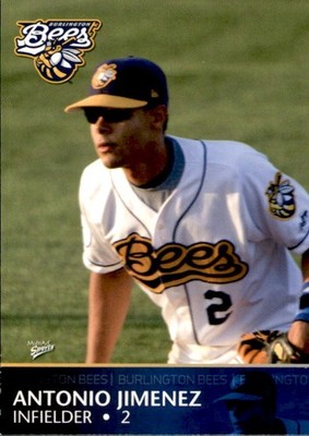 2008 Burlington Bees Multi-Ad #22 Antonio Jimenez Dominican Republic DR Card