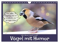"Calendar 2027 · US Version · Birds With Humor (Wall Calendar 2027 12\" × 8\" Lands"
