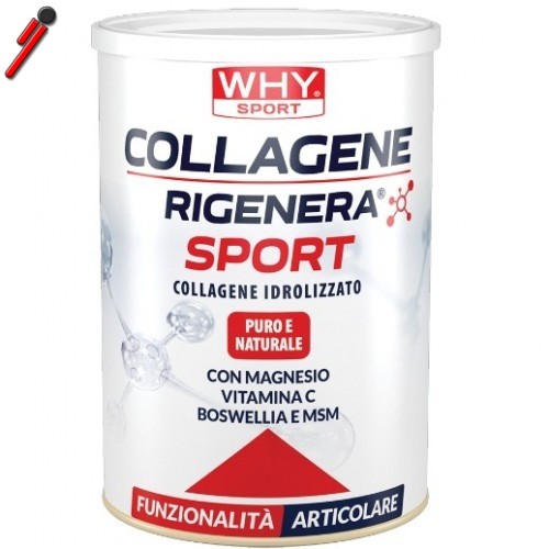 Integratore Collagene Rigenera Sport WHY Sport 336g con MSM e Magnesio