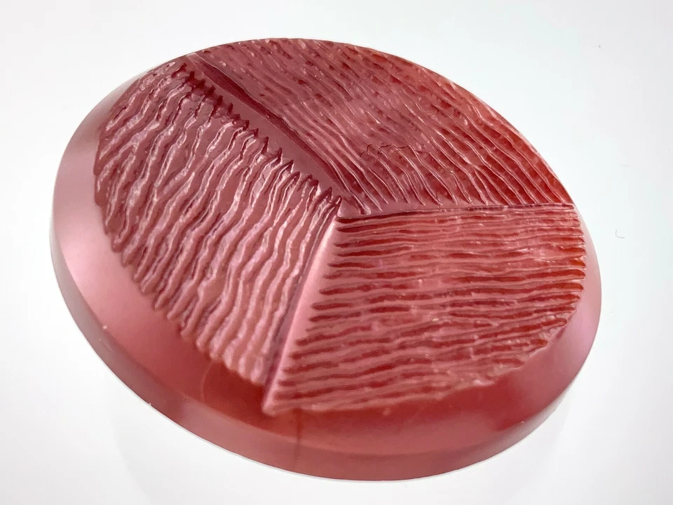 Vintage Molded Two-tone Plastic Garment Button Size 1.7in Set Of Two 949A - Image 4 of 4