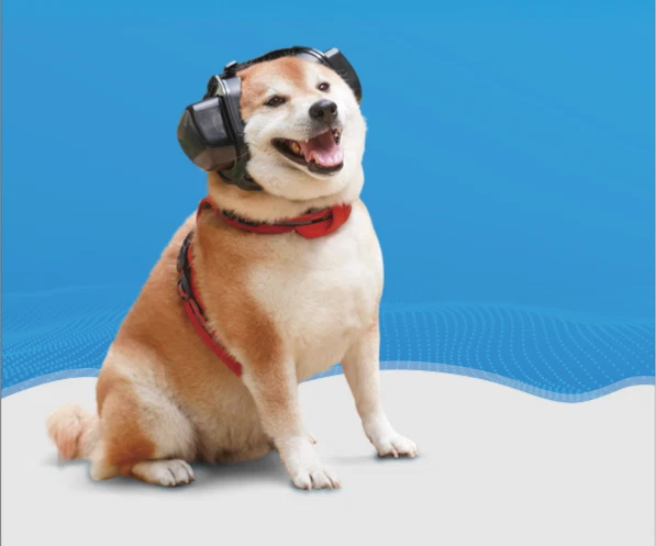 Zuverlässiger Gehörschutz für Hunde | Hundegehörschutz alle Kopfgrößen NEU - Bild 3 von 4