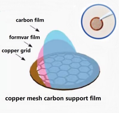 TEM Copper carrier mesh carbon support film transmission electron microscopy