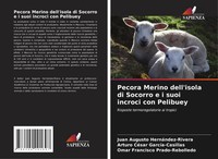 Juan Augusto HernáNdez-Rivera (U. A.) | Pecora Merino Dell'isola Di Socorro E...