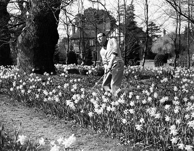 Max Faulkner plays a shot out of a bed of daffodils 1950s Historic Old Photo 2