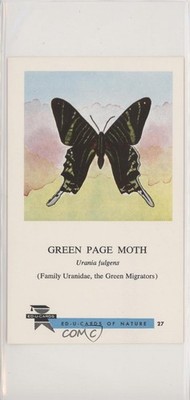 1961 Ed-U-Cards Butterflies and Moths Green Paige Moth #27 0w6