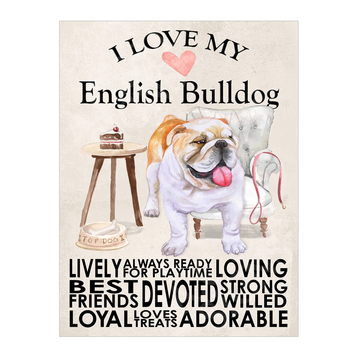 My english cheap bulldog