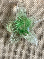 SALE *GORGEOUS LUMINOUS BLOWN-GLASS STAR FISH PENDANT- GREEN