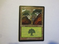 MTG FOREST # 349/350  CARD