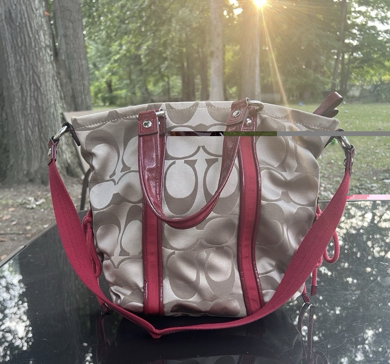 Y2K Coach Daisy Signature Poppy Logo 2 Way Tote Zip H… - Gem