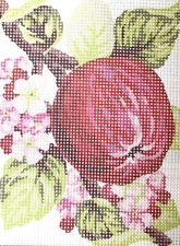 "Apple" Printed Needlepoint Tapestry  Canvas 3159
