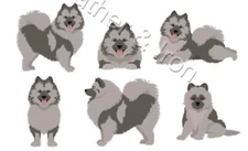 New Keeshond Dog Design Vinyl Checkbook Cover Dogs