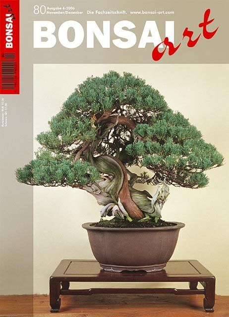 10 x Bonsai art - Ausgabe 71 bis 80 - guter Zustand 10 x Bonsai art - Ausgabe 71 bis 80 - guter Zustand