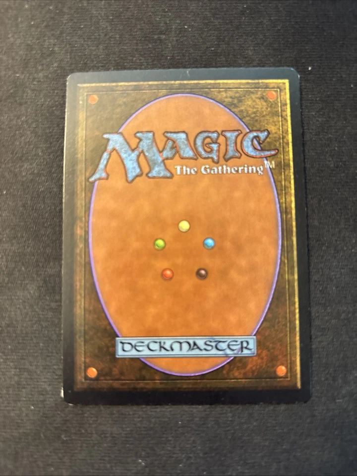 Swamp (A) Limited Edition - Beta LP - Image 2 of 2